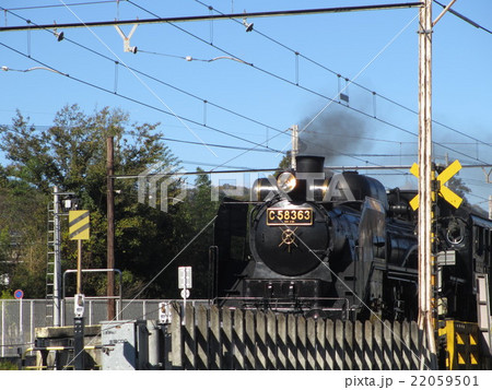 秩父世界 秩父世界 22059501