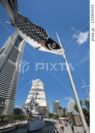 帆船日本丸の総帆展帆・満船飾と、青空を泳ぐ鯉のぼり 22060044