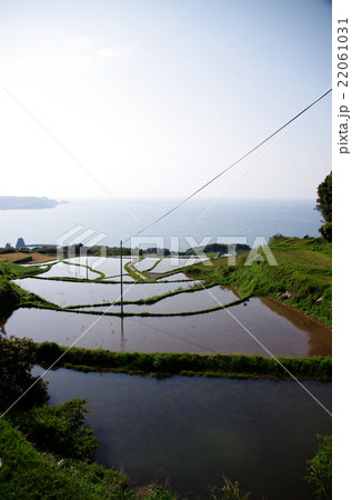 東後畑棚田 縦長 東後畑棚田 縦長 22061031