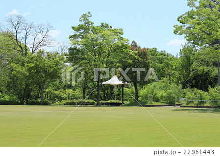 新緑の西山公園 22061443