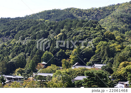 嵐山　法輪寺 22061468