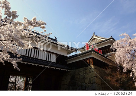 真田丸元城　桜咲く春の信州上田城(真田城) 22062324