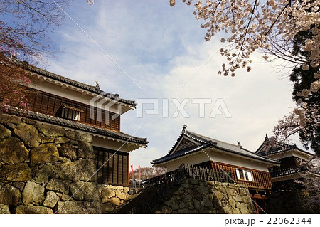 真田丸元城 桜咲く春の信州上田城(真田城)の写真素材 [22062344] - PIXTA