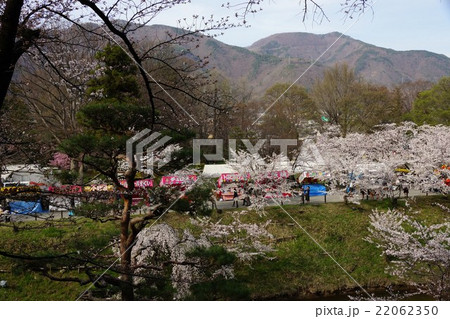 真田丸元城 桜咲く春の信州上田城(真田城)の写真素材 [22062350] - PIXTA