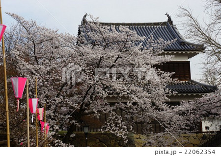 真田丸元城 桜咲く春の信州上田城(真田城) 真田丸元城 桜咲く春の信州上田城(真田城) 22062354