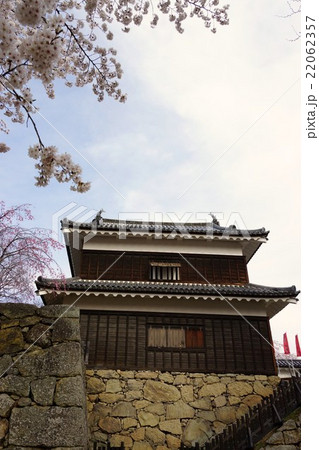 真田丸元城　桜咲く春の信州上田城(真田城) 22062357