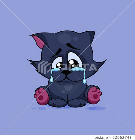 Sad Black cat crying 22062743