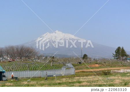 春の岩木山 22063310