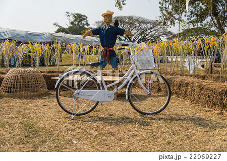 Scarecrow in a countryside Scarecrow in a countryside 22069227