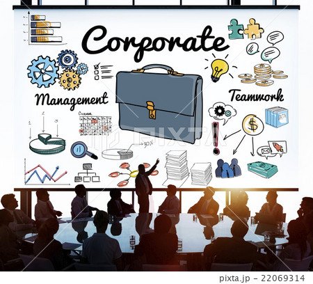 Corporate Business Professional Organization Concept 22069314