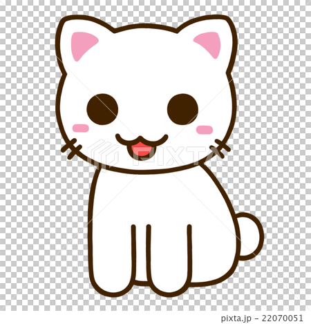图库插图 动物猫白色猫张开嘴