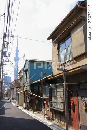 京島の古い町並みとスカイツリー 22070416