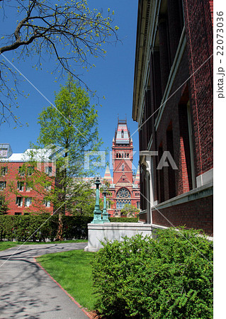 Harvard Square, Cambridge.. Harvard Square, Cambridge.. 22073036