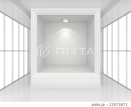Exhibit Showcases with light sources in blank 22073871