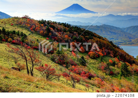 紅葉の大菩薩峠稜線から見る富士山 紅葉の大菩薩峠稜線から見る富士山 22074108