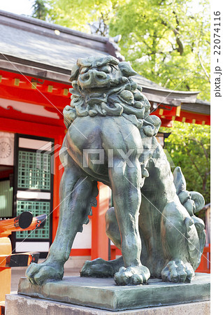兵庫県神戸市中央区の生田神社の狛犬 兵庫県神戸市中央区の生田神社の狛犬 22074116