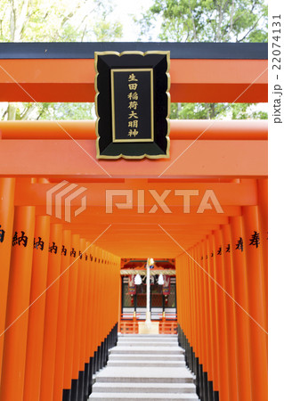 兵庫県神戸市中央区の生田神社の境内にあるある生田稲荷大明神の写真素材