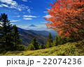 紅葉の大菩薩・石丸峠付近の笹原と富士山 22074236