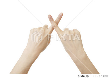 女性の手　　　　　　　 　　　　　　　　　　 22076466