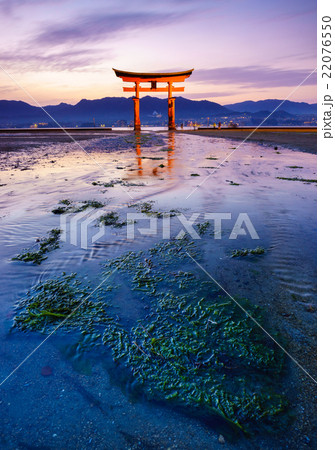 The floating Torii Gate, Miyajima,Hiroshima, Japan The floating Torii Gate, Miyajima,Hiroshima, Japan 22076550