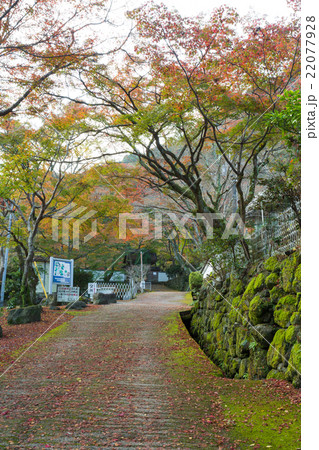 大威徳寺 紅葉 22077928