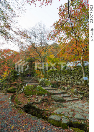 大威徳寺 境内の紅葉 22077932