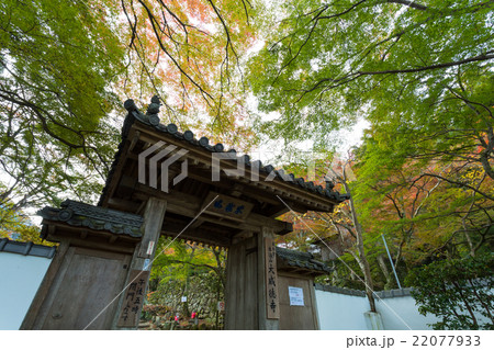 大威徳寺 紅葉 22077933