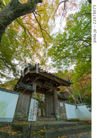 大威徳寺 紅葉 22078075