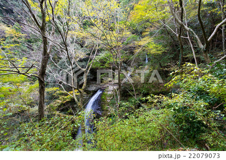 牛滝山 二の滝・三の滝 22079073