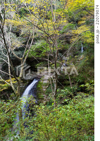 牛滝山 二の滝・三の滝 22079074