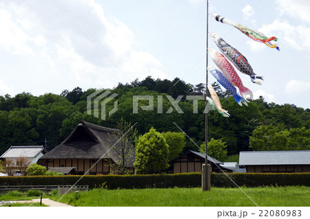 里山民家と鯉のぼり 22080983