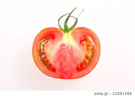トマト 22081388