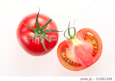 トマト 22081389