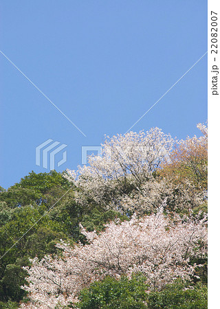 山と桜と青空（九州ー熊本県） 22082007