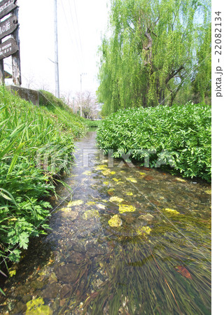 八景水谷公園の小川 熊本市 八景水谷公園の小川 熊本市 22082134