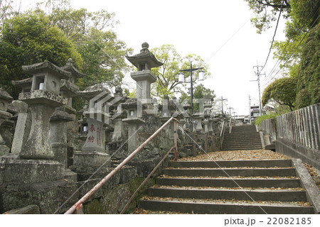本妙寺の灯篭 (熊本市) 本妙寺の灯篭 (熊本市) 22082185