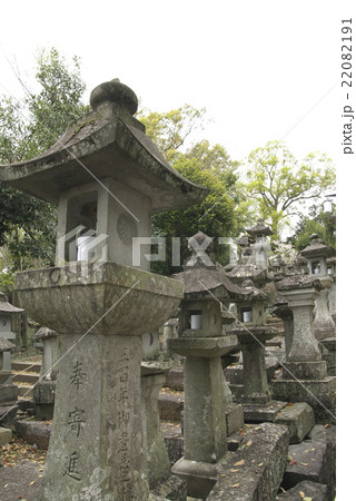 本妙寺の灯篭 (熊本市) 22082191