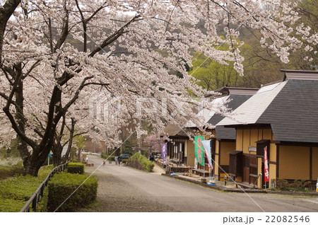 検断屋敷 桜 検断屋敷 桜 22082546