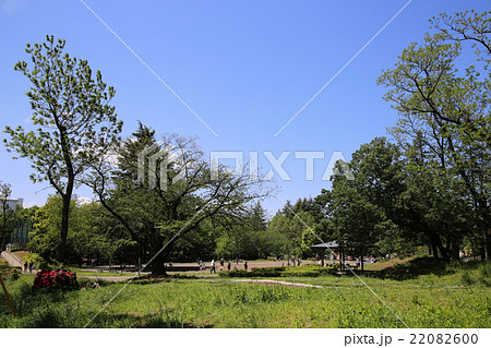 たまプラーザ-美しが丘公園 たまプラーザ-美しが丘公園 22082600