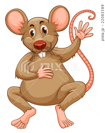 Rat with brown fur Rat with brown fur 22083589