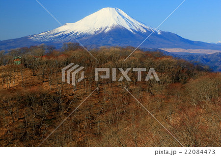 晩秋の丹沢・鍋割山と富士山 22084473