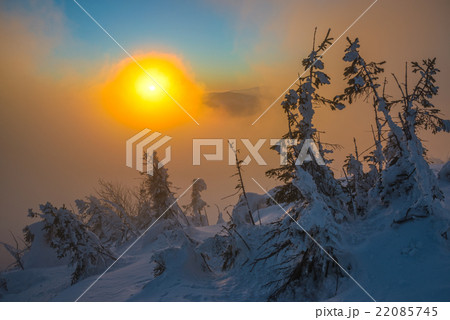 sun in winter mountains 22085745
