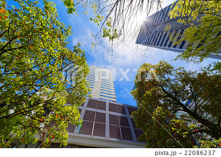 天王洲アイルの高層ビル群と青空 22086237