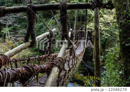 祖谷渓谷　かずら橋 22086279