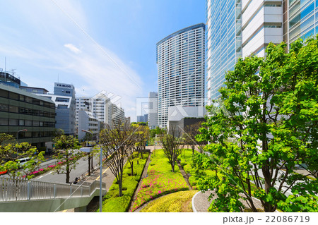 若葉と新緑の品川インターシティと品川グランドコモンズ 22086719