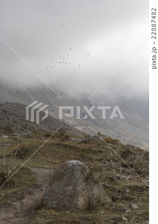 The panorama of mountain landscape of Ala-Archa The panorama of mountain landscape of Ala-Archa 22087482