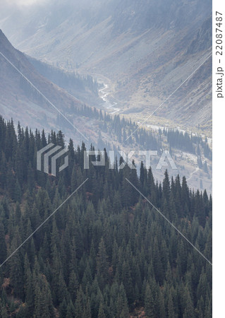 The panorama of mountain landscape of Ala-Archa 22087487