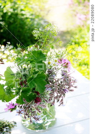 ガラスのポットに活けたハーブの花 ガラスのポットに活けたハーブの花 22089080