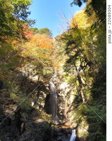 仙娥滝 仙娥滝 22089304