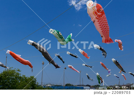 子供の日イメージ～第26回国分川鯉のぼりフェスティバル(市川市-千葉県)～ 22089703